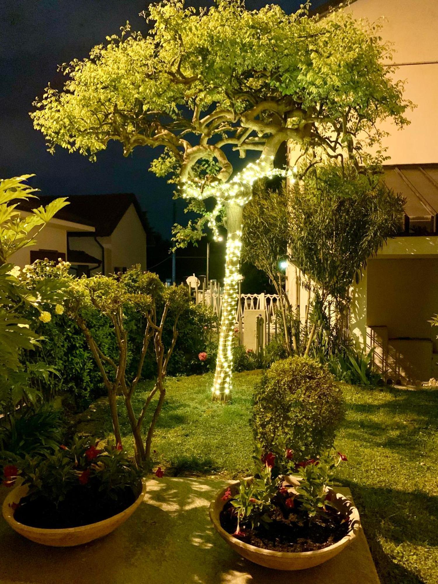 L'Angolo Verde Apartment Moncalieri Exterior foto